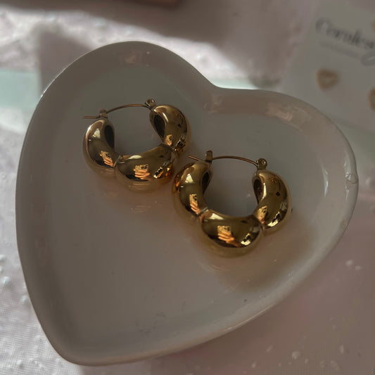 Clau Earrings Hoops